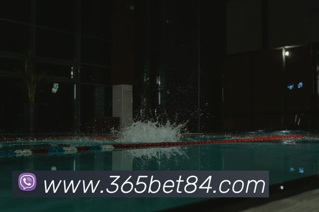 多媒体互动体验